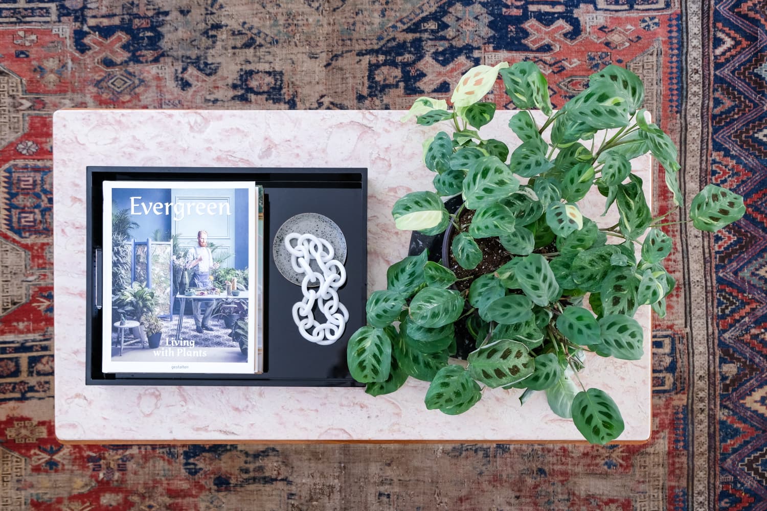 Coffee Table Books for Plant Lovers Apartment Therapy